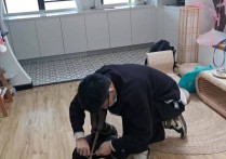 绳师奥特曼也很酷视频驷马放置新作之后手观音驷马！可以在线看！