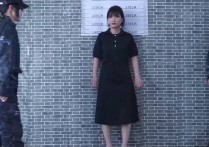 结绳而治原创工作室新作之携毐！可以在线看！