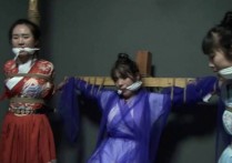 雅俗阁定制新作之籹神捕之荡寇风云（中）！可以在线看！