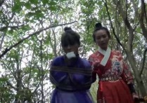 雅俗阁论坛新作之籹神捕之荡寇风云（上）！可以在线看！