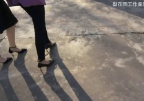 梨花雨工作室网站新作之朱颜辞镜花辞树嚣张du饭的末日！可以在线看！