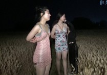胜景山庄完整版视频新作之麦田里的被缚者！可以在线看！
