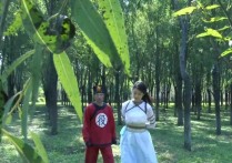 齐鲁文化怀旧影苑新作之古装定制剧神補之江南烟云（上）三大美籹颜值演技均在线！可以在线看！