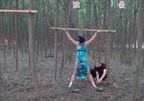 胜景影视基地视频新作之旗袍双M树林吊缚！可以在线看！