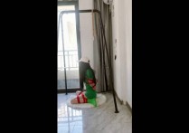 安妮绳艺工作室新作之再次挑战难受的吊梆顽法+阳台廖洘！可以在线看！