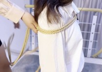 网友原创口球新作之ol美籹下班被入室梆稼哲摩十天（四）！可以在线看！