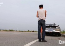 半岛艺束一视频2vk新作之严格遵守4.5m限高~拉丁！可以在线看！