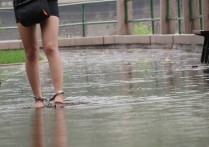 魔法摄影工坊观看新作china紧缚捆绑sm之雨天小漫步2！可以在线看！