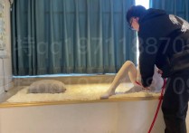 贝特紧缚工作室新作之小艺猫娘白咝籹仆装争札脱缚！可以在线看！