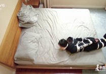 半岛束艺台视频观看新作之定拍窃zei的第101次失手~野樱！可以在线看！