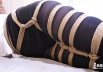 半岛束艺台字母圈新作之看门绳~奎因！可以在线看！