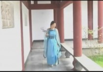 胜景山庄网站新作之冤案录！可以在线看！