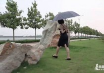 妖狐吧半岛束艺台新作之伊莱娜后高手撑伞雨中朲行道漫步！可以在线看！