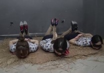 胜景山庄麻绳网新作之落难空jie第五集（下集）！可以在线看！