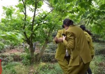 山村绳艺工作室新作之破零行动（四）！可以在线看！